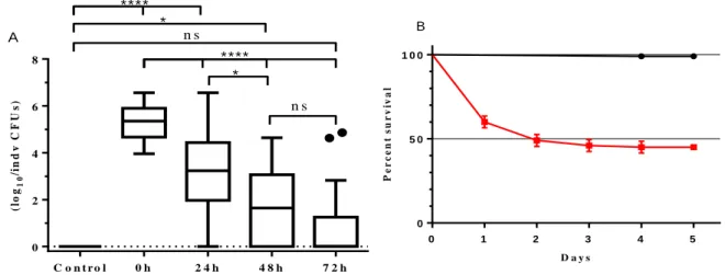 Figure 3.7. Time-course of the bacterial load inside flies over 72 hours and survival curve over 5 days