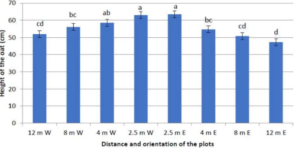 Figure  2: Crop  height at 2.5 m, 4 m, 8 m and 12 m east (E) and  west (W) from the tree rows  (different letters signify significant differences)