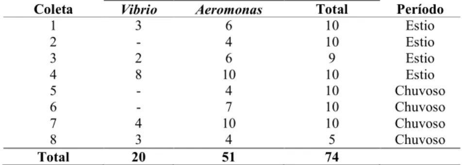 Tabela  2  –  Porcentagem  de  isolamento  de  Vibrio  e  Aeromonas de acordo com o período de coleta 