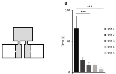 Figure  1.  A)  Schematic representation  of the behavioural  box  used for Social  Preference Test (SPT); B)  Average latency of the first entry in seconds to one of the side boxes during the 15 minute habituations  (Kruskall Wallis test, K = 18.8, N = 7,