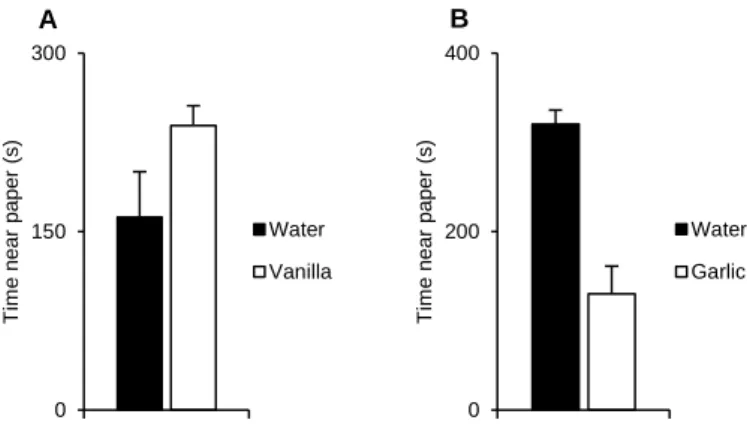 Figure 5 A) Time spent in seconds by musculus females near a vanilla or water paper filter (X ±  SE water = 162.04 ± 38.13, N=4; X ± SE vanilla = 239.10 ± 16.60, N=4; Wilcoxon signed-rank  test,  V  =  1,  P  =  0.250)