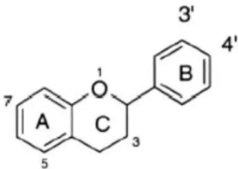 Figure 1. Flavonoid ring system 