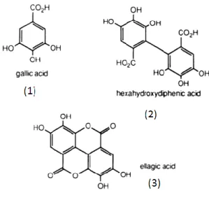 Figure 2. Structures of gallic acid, hexahydroxydiphenic acid and ellagic acid