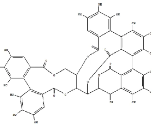 Figure 4. Galloyl residue 
