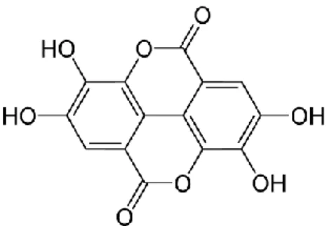 Figure 15. Chemical structure of Ellagic acid 