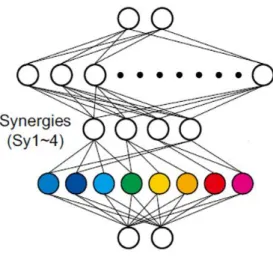 Figure 4 - Synergy Model (reprinted from Hirashima &amp; Oya, 2016) 