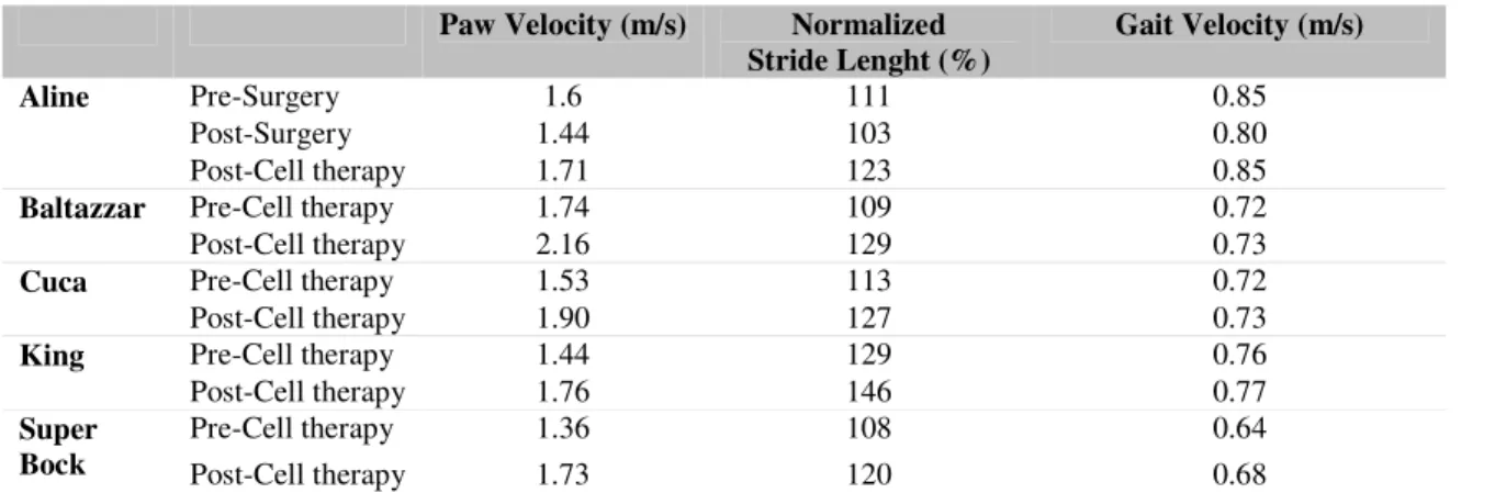 Table V. Average values of kinematic variables, pre and post cell therapy, for the animals treated with SCT