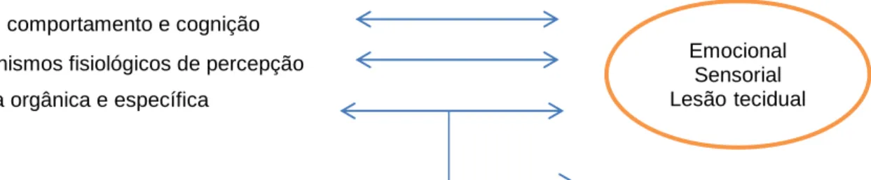 Figura 1 – Componentes distintos interligados no mecanismo de percepção da dor  22