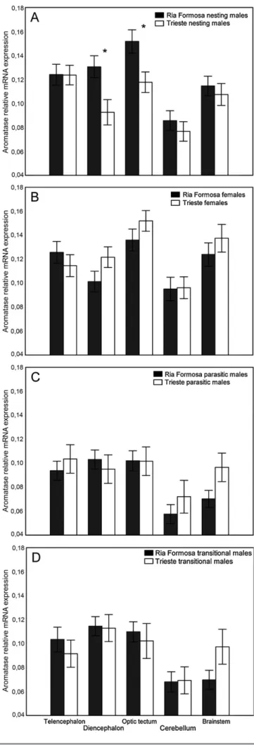 Fig. 4. Average ± SE aromatase (CYP19b) relative mRNA expression measured in the ﬁve brain macroareas of Ria Formosa and Trieste (A) nesting males, (B) females, (C) parasitic males and (D) transitional males