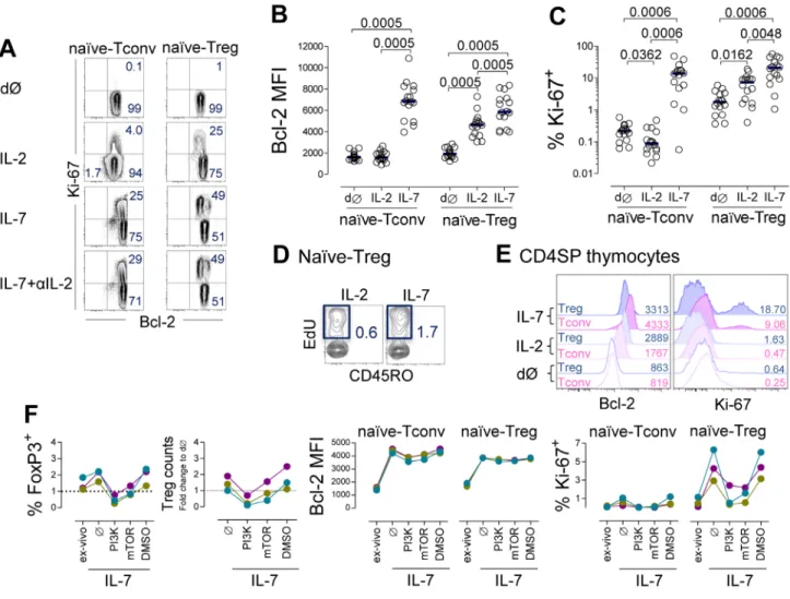 Figure 5: IL-7 induced naïve-Treg survival and proliferation.  A.-D. Analysis of naïve-Tregs and naïve-Tconvs ex-vivo (dØ) and  post 13 day-culture of purified naïve CD4 T-cells with IL-7 or IL-2 or IL-7 plus anti-IL-2 blocking monoclonal antibody: (A) Rep