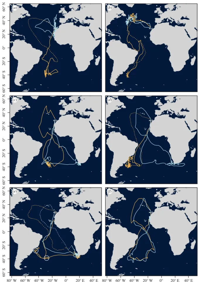 Figure 2. Tracks of Cory’s shearwaters in successive years (orange and light blue lines, respectively)