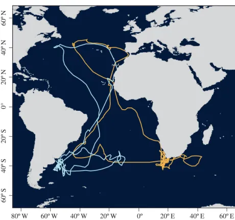 Figure 3. Journey of an immature (4 – 5 years old) Cory’s shearwater tracked in two consecutive years (orange and light blue correspond to first and second years, respectively)
