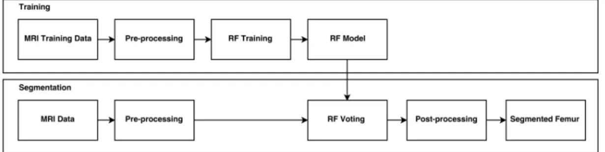 Figure 2.7: Balsiger et al. [2015] algorithm scheme