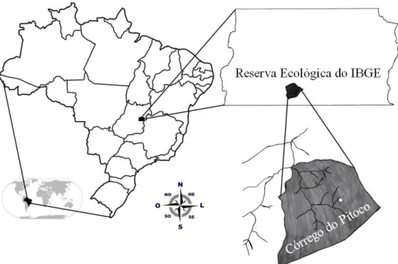 FIGURA 1. Localização da Reserva Ecológica do IBGE no Distrito Federal e da área  de estudo nessa reserva (córrego do Pitoco indicado pelo círculo branco)