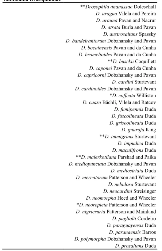 TABELA 1. Drosofilídeos da mata do Pitoco (IBGE). As coletas foram realizadas entre  dezembro  de  2007  e  novembro  de  2008