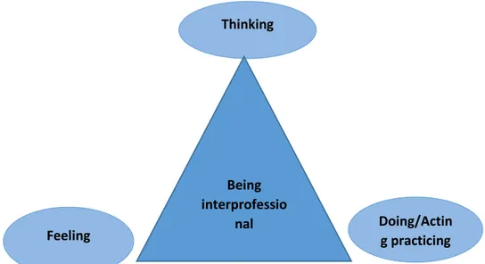 Figure 1: An Illustrative figure of being interprofessional 