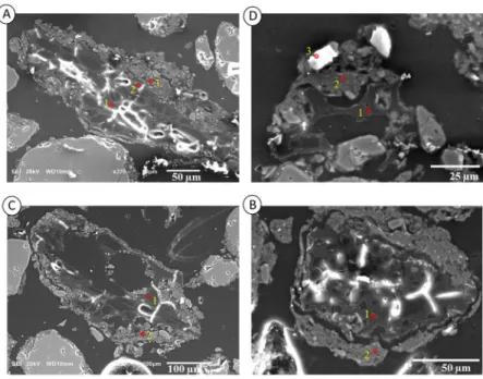 Fig 8B shows a small microaggregate composed of charcoal in the center and the clay, silt and fine sand fractions
