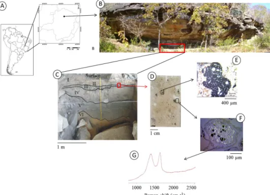 Fig 1. From the meter (landscape and archaeological site) to the micrometer (charcoal particle) scale