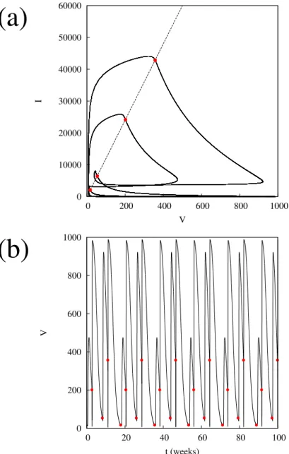 Figure 2.5. (a) The phase space projected on the (V, I) plane. The continuous line represents a trajectory, the dashed line is the Poincar´ e section, and red circles show the selected intersections between the trajectory and the section