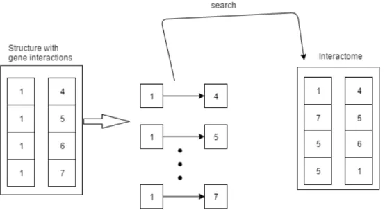 Figure 3.4: Scheme of the applied method for same species comparison