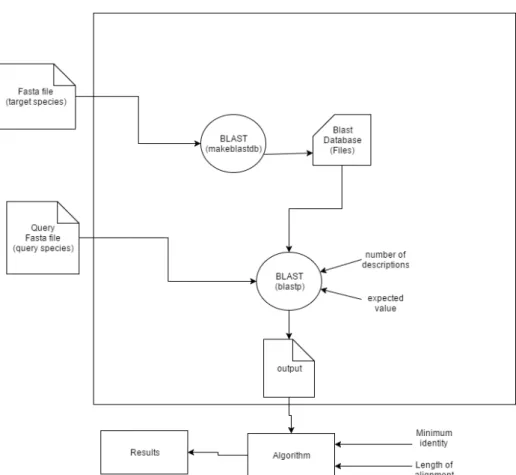 Figure 3.5: BLAST schema