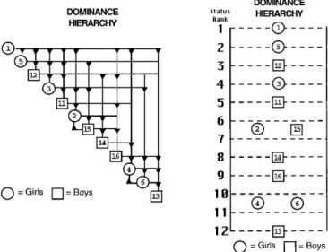 Figure 1 depicts two representations of a social domi- domi-nance hierarchy. The more traditional representation on the left has the advantage of distinguishing dyadically established dominance (marked with an arrow) and  tran-sitively inferred dominance (