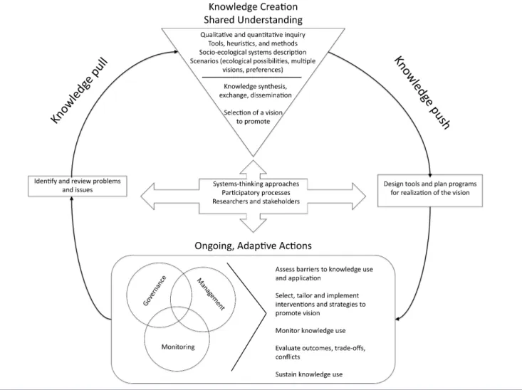 Fig. 3. A knowledge-to-action process for EAH, adapted from Graham (2006) and Waltner-Toews and Kay (2005)
