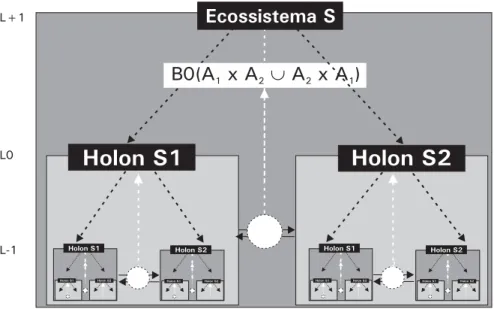 Figura  1.  Interações  entre  níveis  hierárquicos  diferentes  de  um  sistema  ecológico (desenhado  por  Felix  Muller)