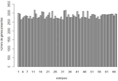 Figura 2.3. Gráfico de barras representativo do número total de genes presentes em algumas estirpes.