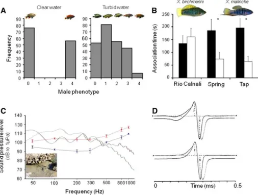 Fig. 1 Examples of studies showing responses to environmental variation in the sensory environment.