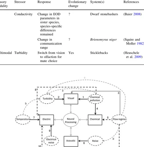 Fig. 2 Relationships between human-induced environmental changes and communication systems in fish.