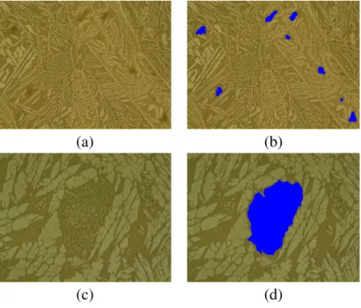 Figure 1: Microscopic images used in the experi- experi-ments: original images with magnifications of (a) 200 × and (c) 1000 × , and the respectively manual segmentations in (b) and (d).