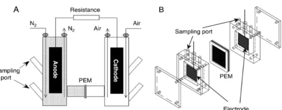 Figure 1 - Schematic diagram of a typical two-chamber microbial fuel cell. A-  Rectangular shape; B- Square minimize shape