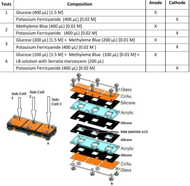 Table 1 - List of the MFC baseline tests and introduction of S. marcescens. 