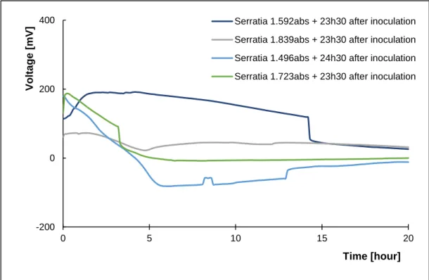 Figure 11 – Introduction of Serratia marcescens (4) in the MFC trials. 