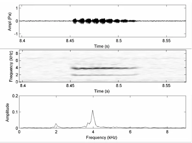Figura 4. Oscilograma da seção (primeira coluna), audioespectrograma (segunda coluna) e  espectro de potência (terceira coluna) do canto de anúncio de Leptodactylus hylaedactylus  Reserva Ducke, Manaus, Amazonas