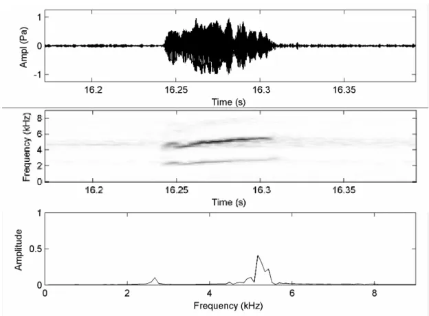 Figura 5. Oscilograma da seção (primeira coluna), audioespectrograma (segunda coluna) e  espectro de força (terceira coluna) do canto de anúncio de Leptodactylus andreae Manaus,  Amazonas