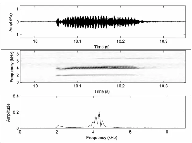 Figura 7. Oscilograma da seção (primeira coluna), audioespectrograma (segunda coluna) e  espectro de força (ou potência) (terceira coluna) do canto de anúncio de Leptodactylus sp2 Rio Branco, Acre