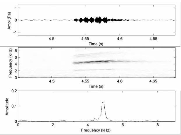 Figura 9. Oscilograma da seção (primeira coluna), audioespectrograma (segunda coluna) e  espectro de força (terceira coluna) do canto de anúncio de Leptodactylus sp Cacoal, Cacoal,  Rondônia