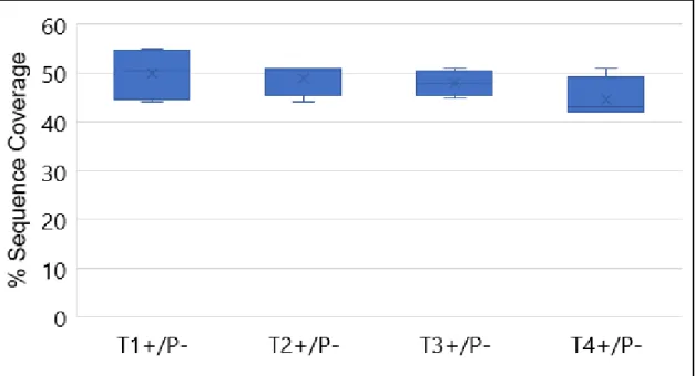 Figure 4.10: % Sequence Coverage of the digestion of 1μg of BSA with 0.5μg/μL of 4 different batches of  immobilized trypsin nanoparticles