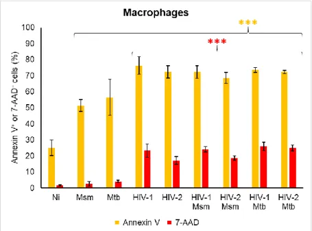 Figure  4:  Cell  death  of  macrophages  mono-infected  or  co-infected  with  mycobacteria  and  virus