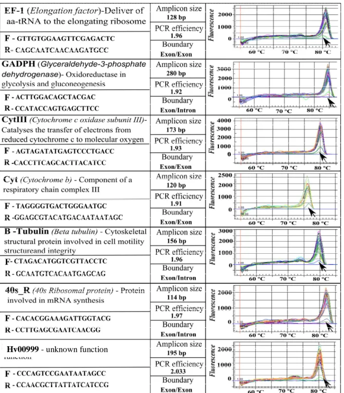 Table 1. RT-qPCR primer sequences and amplicon characteristics  for control genes,  including melting  curve analysis (arrows denote results for negative controls) tested in H