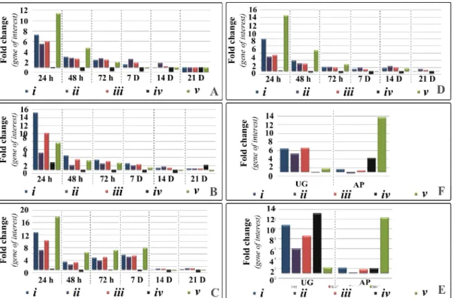 Fig. 4.  Effect  of  normalization  strategies  in the  Gα-protein expression profile