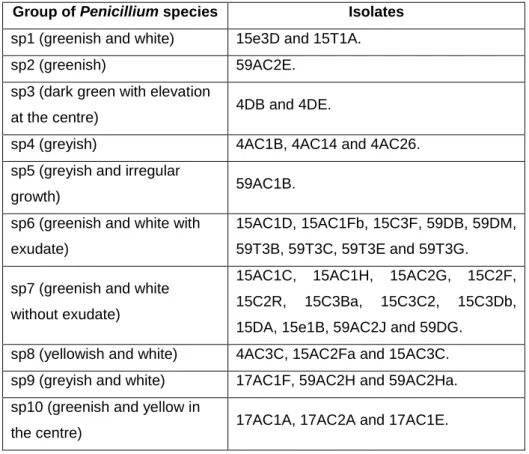 Table  5-  Separation  of  isolates  from  the  genus  Penicillium  through  group  of  species  according to colony characteristics