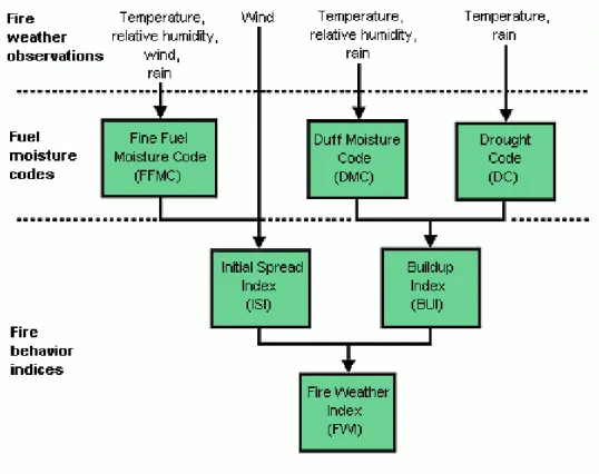 Figure 2.2 – Schematic representation of the structure of the Fire Weather Index (FWI) system