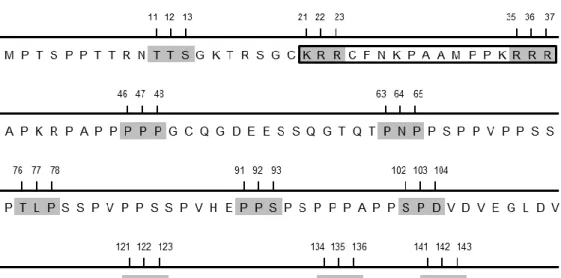 Figure  1.  Alanine-scanning mutagenesis strategy.  The  N-terminal  region  of  ORF73  is  shown