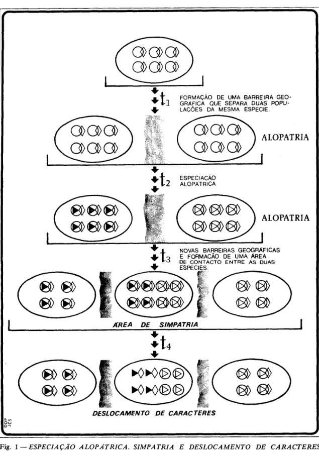 Fig.  1  -  ESPECIAÇÃO  ALOPÁTRICA.  SIMPATRIA  E  DESLOCAMENTO  DE  CARACTERES. 
