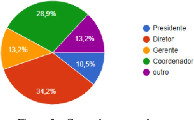 Figura 5 – Cargo dos respondentes 
