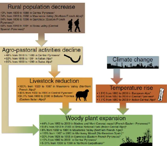 Figura 1.1 Alterações nos ecossistemas alpinos europeus, com expansão das plantas lenhosas, na sequência do  despovoamento rural (Fonte: Espunyes et al., 2018) 