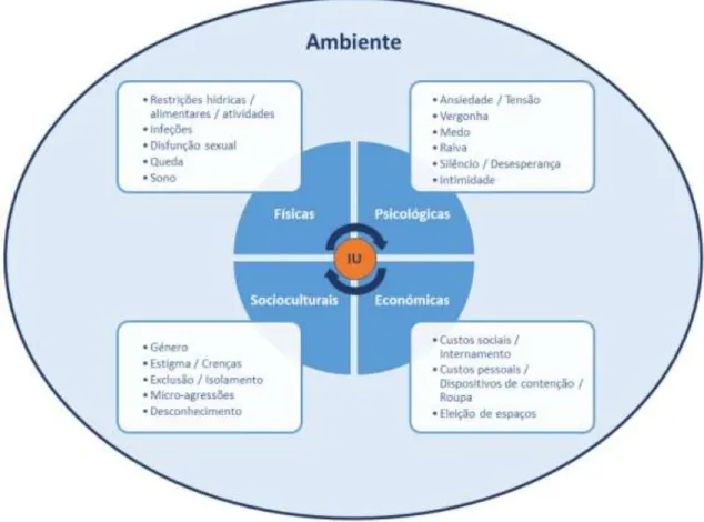 Figura n.º 1 – Implicações da IU 